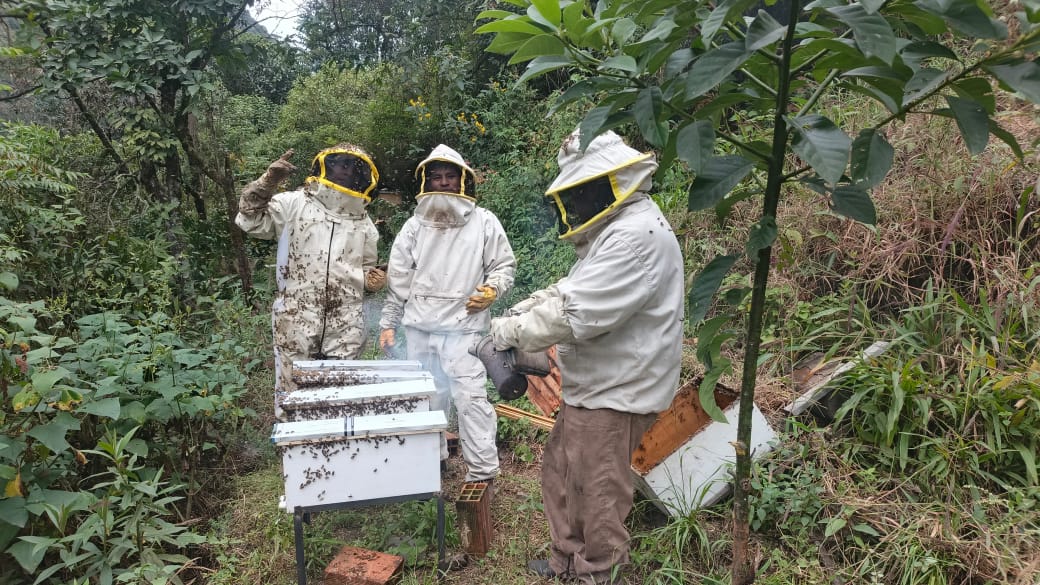 No quiso vender solo miel: estudió en la UMSA, volvió a Yanacachi y creó una línea cosmética apícola